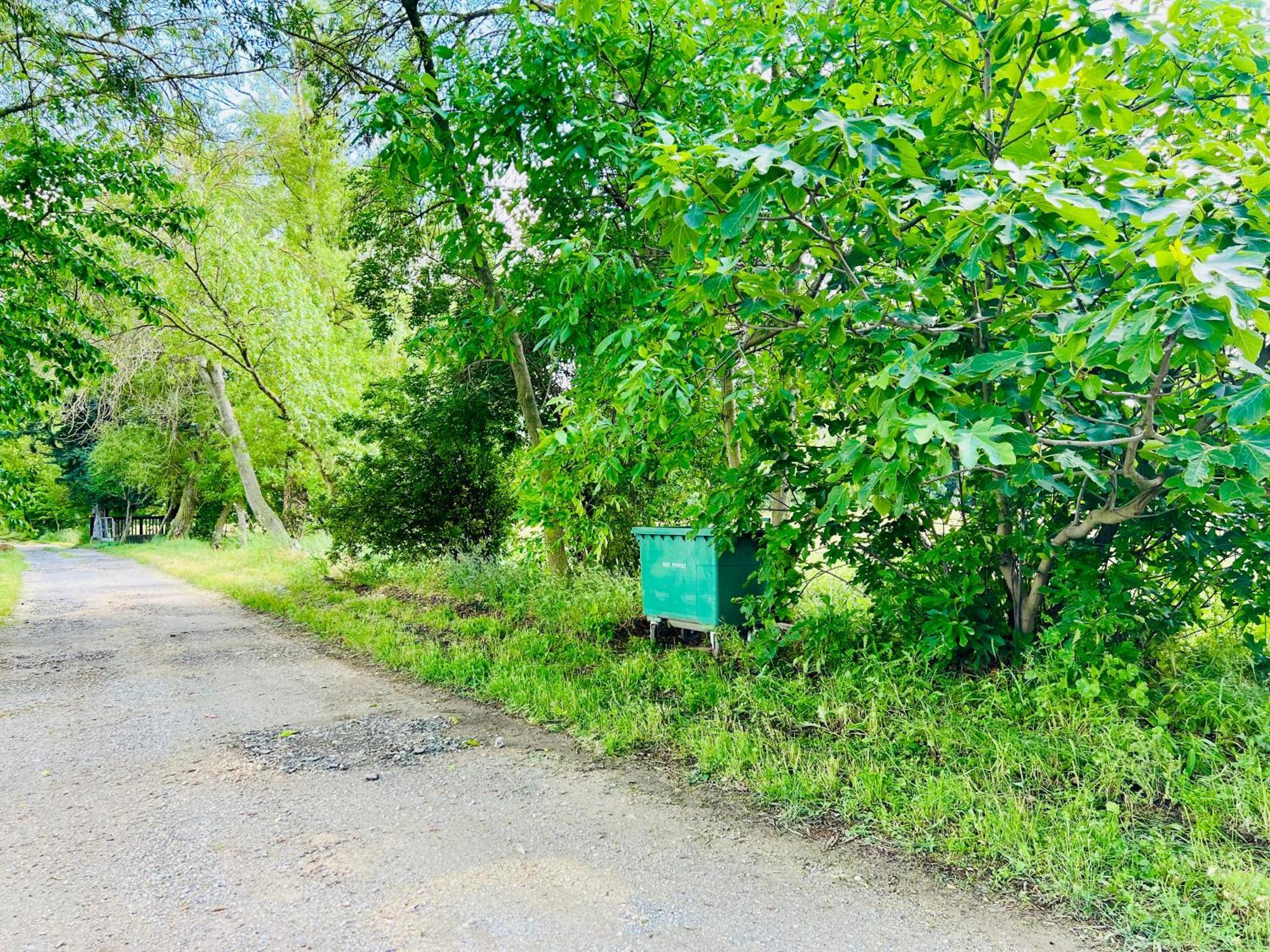 Le Moun Mazet Gite Rural 3 Etoiles, Clim, Nature, 6 Personnes Miramas Exteriör bild